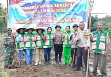 Tanam Raya Jagung Serentak Digelar di Weri Larantuka