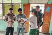 Babinsa Dampingi Vaksinasi Hewan Peliharaan di Lembata