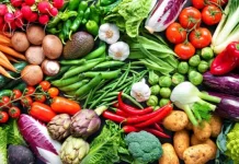 Diversifikasi Pangan Lokal Strategi Tekan Inflasi Kabupaten Ende