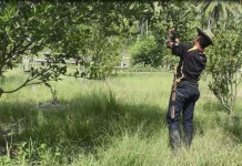 Petani Jeruk Ondorea Barat Keluhkan Pemasaran, Harap Dukungan Pemerintah
