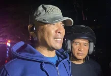 Waspada Teror Tawon Vespa, Satpol PP Mabar Imbau Warga Tidak Evakuasi Mandiri