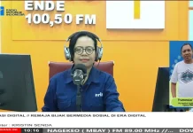 Remaja Didorong Bijak Gunakan Media Sosial Positif