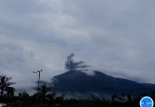Lewotobi Laki-laki Kembali Erupsi, Kolom Abu 600 Meter