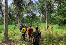 Akses Baru Wulanggitang Disiapkan, Jalur Desa Mulai Disurvei