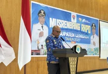 Kabupaten Lembata Kunci 20 Program Prioritas 2027