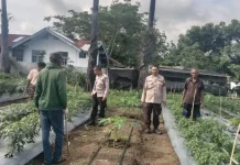 Bhabinkamtibmas Hokor Pantau Lahan Hortikultura Dukung Ketahanan Pangan