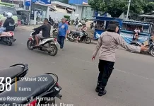 Arus Lalu Lintas Larantuka Lancar Selama Operasi Ketupat