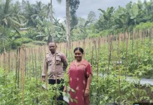 Polri Dampingi Petani Tomat Dukung Ketahanan Pangan