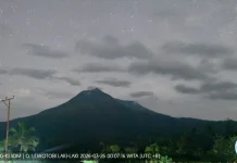 Aktivitas Lewotobi Laki-laki Stabil, Tremor Masih Dominan hingga Maret