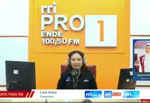 Pola Keluarga Picu Tingginya PMI Ilegal NTT