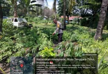 Bhabinkamtibmas Kewapante Dorong Ketahanan Pangan Berbasis Pekarangan