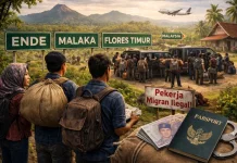 Tiga Kabupaten Penyumbang PMI Ilegal Terbanyak di NTT