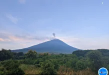 Erupsi Ile Lewotolok, Abu Capai 500 Meter