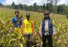 Polisi Sikka Aktif Dukung Ketahanan Pangan Desa