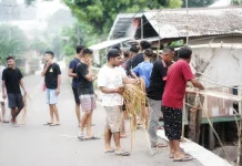 Tikam Turo, Tradisi Sakral Awali Semana Santa Larantuka