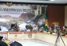 Gubernur NTT Terima Audiensi Kemendagri Bahas Belanja Pegawai Daerah