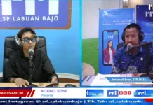 Waspada Efek Instan, Loka POM Mabar Ungkap Bahaya BKO dalam Jamu Tradisional