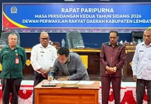 Pemkab Lembata Pangkas OPD Demi Efisiensi