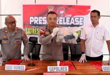 Polres Flores Timur Amankan Dua Terduga Pengedar Ganja