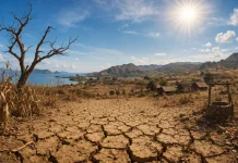 NTT Mulai Masuk Musim Kemarau April