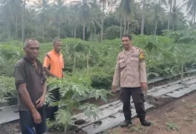 Polres Sikka Dorong Ketahanan Pangan Berbasis Pekarangan