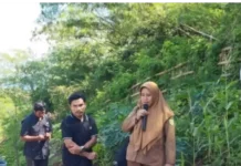 BUMDes Raes Cama Luncurkan Program Penanaman Sayur, Dorong Kemandirian Pangan