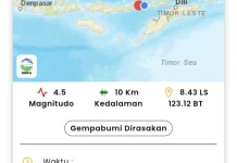 Gempa M4,7 Guncang Flores Timur, Terasa hingga Lembata