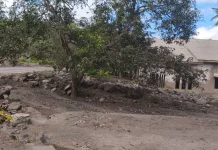 Hujan Picu Getaran Banjir di Gunung Lewotobi, Warga Diminta Jauhi Aliran Sungai