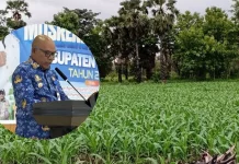 Camat Diminta Aktif Sosialisasikan Program Jagung