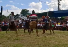 Ribuan Warga Saksikan Tinju Adat Sagi Jadi Wujud Syukur Masyarakat Soa