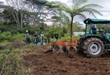 Pemkab Manggarai Mulai Olah Lahan Stadion Golo Dukal dengan Alat Modern