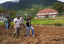 Pemkab Manggarai Sulap Lahan Sekitar Stadion Jadi Sentra Pertanian