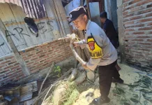 Respons Cepat Polisi dan BPBD Tangani Pohon Tumbang