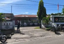 WFH Jumat Dikecualikan untuk Layanan Publik Sikka