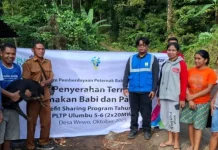 Program Bantuan Ternak PLN Dorong Ekonomi Warga