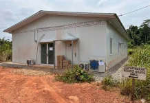 Empat Dapur MBG di Flores Timur Terkendala Administrasi