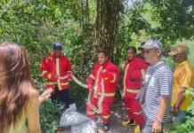 Respon Cepat Damkar Mabar, Ular Piton di Hotel Sudamala Berhasil Diamankan