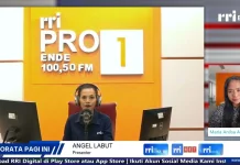 Inovasi Desain Kemasan Jadi Kunci Daya Saing Produk Lokal