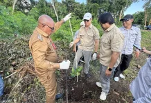 Pemkab Lembata Kembangkan Benih Unggul Jambu Mete