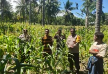 Polri Dampingi Petani Jagung Perkuat Ketahanan Pangan