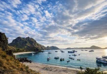 Pembatasan Kunjungan TN Komodo Berbasis Daya Dukung Lindungi Ekosistem