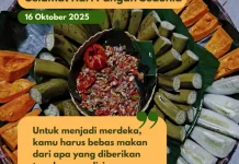 Momang Lino Hidupkan Kembali Pangan Lokal di Manggarai