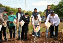 Polda NTT Musnahkan Ribuan Liter Miras Ilegal Demi Ketertiban Sosial