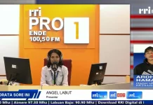 Strategi Storytelling dan AI Bawa Produk Kreatif Manggarai Tembus Pasar Digital