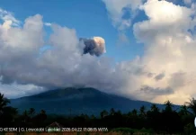 Aktivitas Lewotobi Laki-laki Meningkat, Kolom Abu Capai 1,6 Km