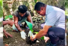 Penanaman Pohon Warnai Peringatan Hari Bumi Sikka