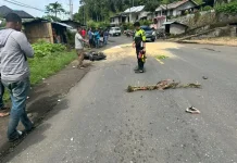 Kecelakaan di Jalur Bajawa–Mataloko, Satu Pengendara Motor Meninggal Dunia