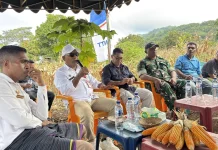 Bupati Lembata Soroti Rendahnya Produktivitas Jagung Petani
