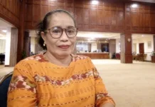 PPDKE: Fasilitas Publik di Ende Belum Ramah Disabilitas