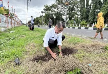 Pemkab Lembata Tanam Pohon, Target Pulau Karbon